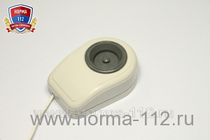 ИО 101-1 (В) (КНС-1В) Кнопка извещения о нападении с фиксацией, 85x60x30 мм