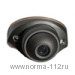 GF-VIR1326H в/камера  f3.6, серый 1/3" Sony, 600 ТВЛ, IR, антивандальный корпус