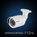 FE-IB1080MHD/20M  Уличная цилиндрическая цветная гибридная видеокамера(AHD, CVI, TVI, CVBS)