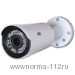 ANW-2MVFIRP-40W/2.8-12 IP-видеокамера 2 Мпикс, 2,8-12 мм