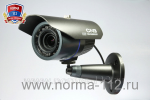 CNB-WBL-21S цв. всепогодная в/камера 1/3" SONY Super HAD CCD , 600 ТВЛ, 3,8 мм