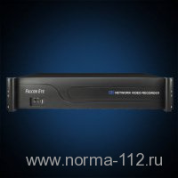 FE-NR-8825 PRO   25-канальный IP видеорегистратор;  Разрешение камер:5MP/3MP/1080p/960p/720p
