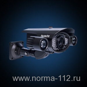 FE-IS91A/100M Уличная цветная  видеокамера 1/3" SONY Super HAD II CCD ; 750tvl ; 0,02лк(Старая цена)