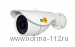 V433WV	Цв. в/камера, в уличном корпусе, 1/3" CMOS, 600 ТВЛ, 2,8-12 мм, ИК до 25 м