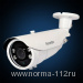 FE-IBV1080MHD/45M Уличная  видеокамера 1080P (AHD, CVI, TVI, CVBS)f=2.8-12 mm, дальность ИК 45м